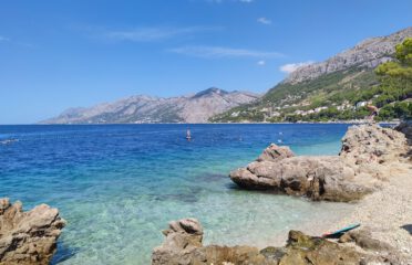 blog-grid-1-410x308